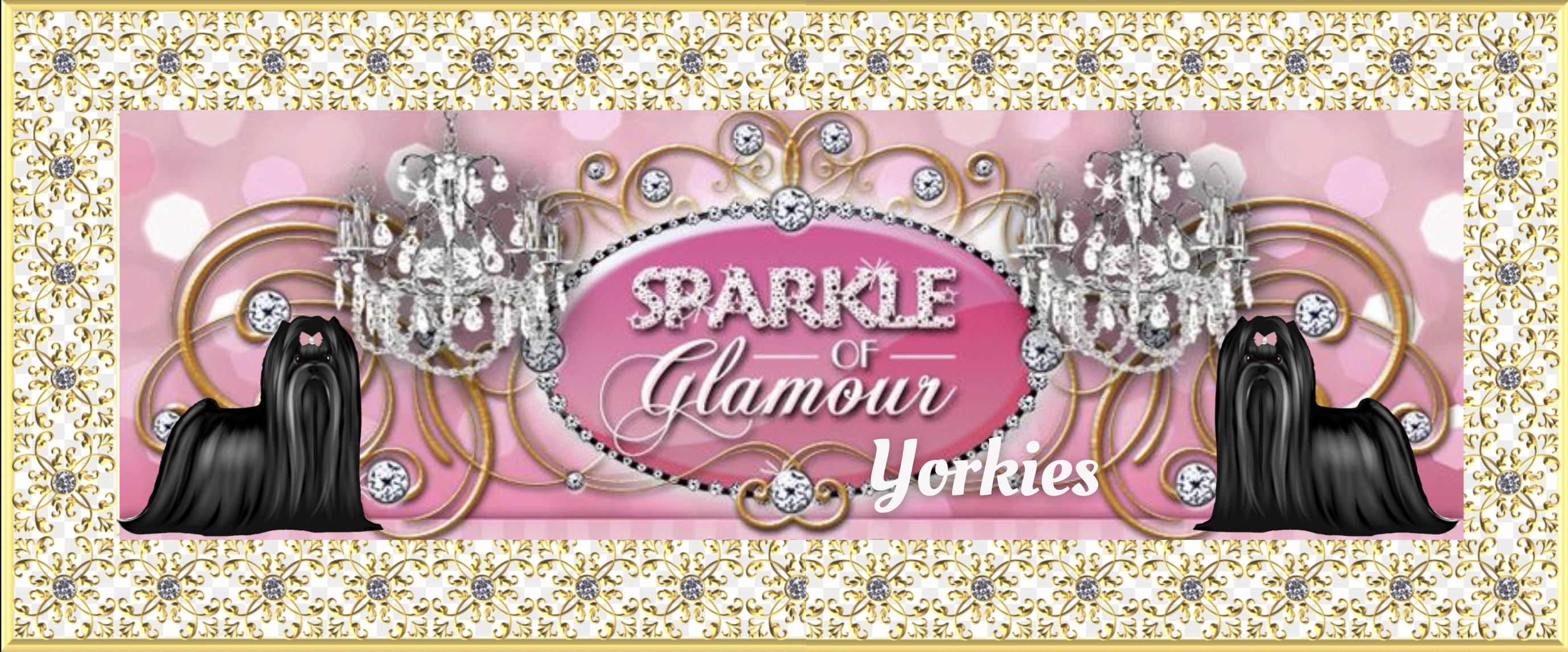 Header Sparkle Of Glamour Yorkies