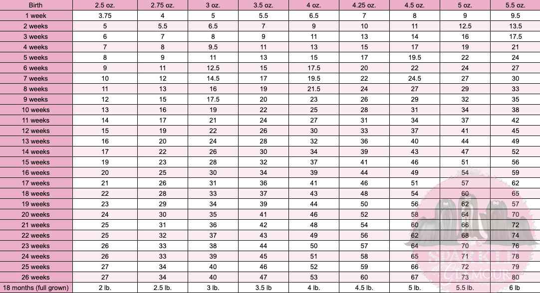 Yorkie Growth Chart